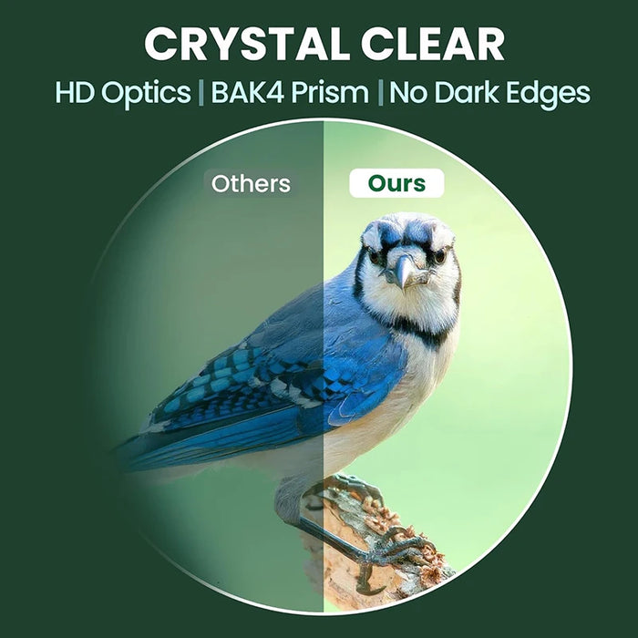 10x25 Folding Compact Binoculars — 10x Magnification, BAK4 Prism, FMC Lens