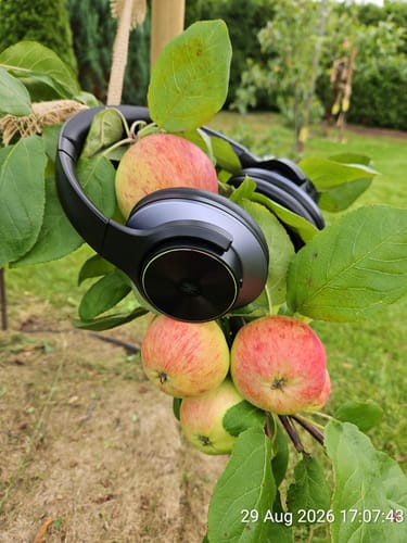 Auriculares Oneodio negros colgados de un manzano